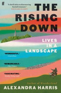 Book Cover for The Rising Down by Alexandra Harris