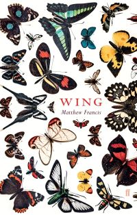 Book Cover for Wing by Matthew Francis