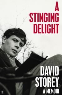 Book Cover for A Stinging Delight by David Storey