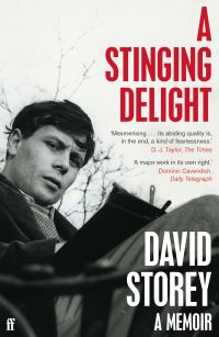 Book Cover for A Stinging Delight by David Storey