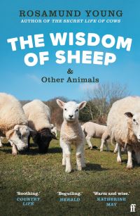 Book Cover for The Wisdom of Sheep & Other Animals by Rosamund Young
