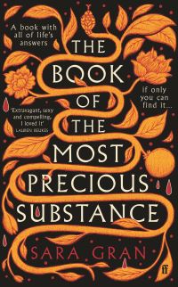 Book Cover for The Book of the Most Precious Substance by Sara Gran