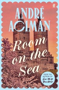 Book Cover for Room on the Sea by André Aciman