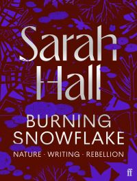Book Cover for Burning Snowflake by Sarah Hall