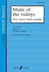 Book Cover for Music Of The Valleys by Peter Allwood
