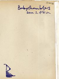 Book Cover for Down In Albion by Babyshambles,   Babyshambles, Lucy Holliday