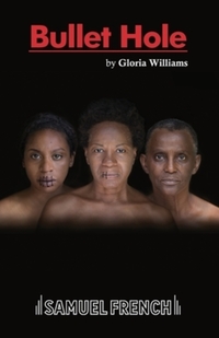 Book Cover for Bullet Hole by Gloria Williams