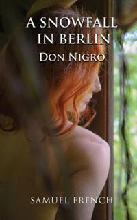 Book Cover for A Snowfall in Berlin by Don Nigro