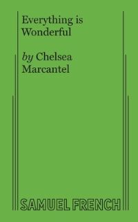 Book Cover for Everything Is Wonderful by Chelsea Marcantel