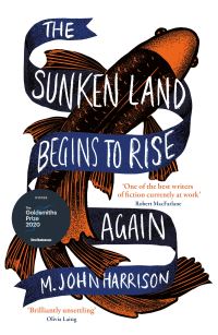 Book Cover for The Sunken Land Begins to Rise Again by M John Harrison