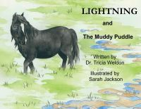 Book Cover for Lightning and the Muddy Puddle by Tricia Weldon