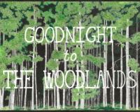 Book Cover for Goodnight to The Woodlands by Datura Metel