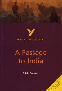 Book Cover for A Passage to India, E.M. Forster by Nigel Messenger