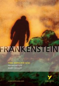 Book Cover for Frankenstein, Mary Shelly by Alexander Fairbairn-Dixon