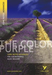 Book Cover for The Color Purple, Alice Walker by Neil McEwan