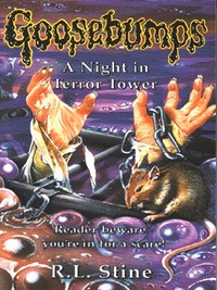 Book Cover for A Night in Terror Tower by R L Stine