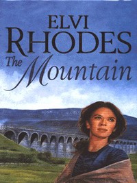 Book Cover for The Mountain by Elvi Rhodes
