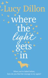 Book Cover for Where The Light Gets In by Lucy Dillon