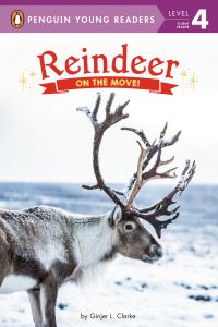 Book Cover for Reindeer by Ginjer L. Clarke