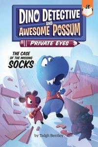 Book Cover for The Case of the Missing Socks by Tadgh Bentley