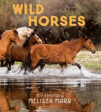 Book Cover for Wild Horses by Melissa Marr