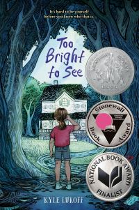 Book Cover for Too Bright to See by Kyle Lukoff