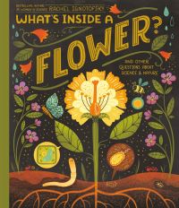 Book Cover for What's Inside a Flower? by Rachel Ignotofsky