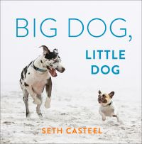 Book Cover for Big Dog, Little Dog by Seth Casteel