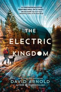 Book Cover for The Electric Kingdom by David Arnold