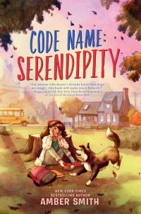 Book Cover for Code Name by Amber Smith