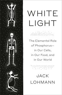 Book Cover for White Light by Jack Lohmann