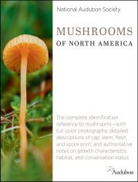 Book Cover for National Audubon Society Mushrooms of North America by Jim Cirigliano