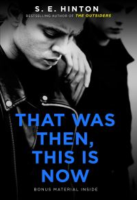 Book Cover for That Was Then, This Is Now by S E Hinton