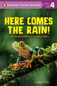 Book Cover for Here Comes the Rain! by Ginjer L. Clarke