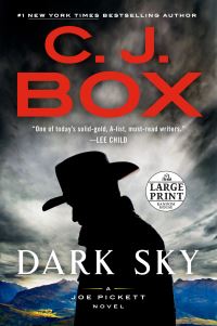 Book Cover for Dark Sky by C. J. Box