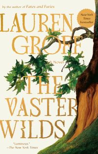 Book Cover for The Vaster Wilds by Lauren Groff
