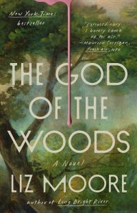 Book Cover for The God of the Woods by Liz Moore