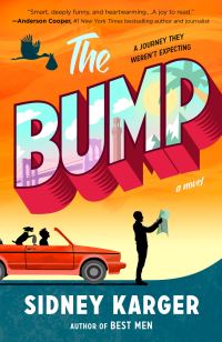 Book Cover for The Bump by Sidney Karger