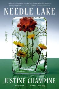 Book Cover for Needle Lake by Justine Champine