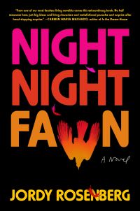 Book Cover for Night Night Fawn by Jordy Rosenberg