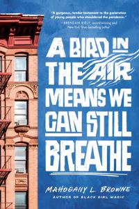 Book Cover for A Bird in the Air Means We Can Still Breathe by Mahogany L Browne