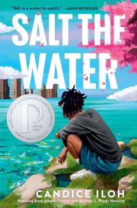 Book Cover for Salt the Water by Candice Iloh