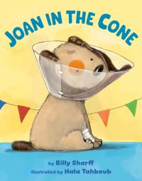 Book Cover for Joan in the Cone by Billy Sharff