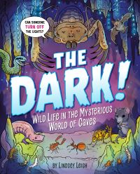 Book Cover for The Dark! by Lindsey Leigh