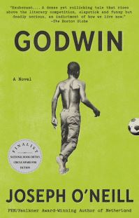 Book Cover for Godwin by Joseph ONeill