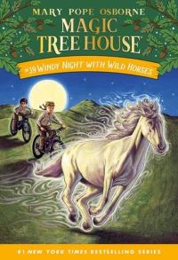 Book Cover for Windy Night With Wild Horses by Mary Pope Osborne, AG Ford