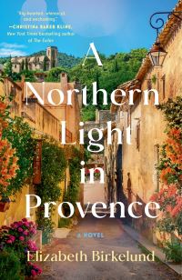 Book Cover for Northern Light in Provence, A by Elizabeth Birkelund