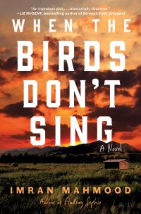 Book Cover for When the Birds Don't Sing by Imran Mahmood