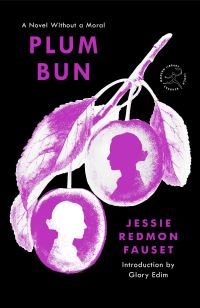 Book Cover for Plum Bun by Jessie Redmon Fauset