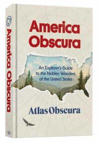 Book Cover for America Obscura by Doug Baldinger, Louise Story